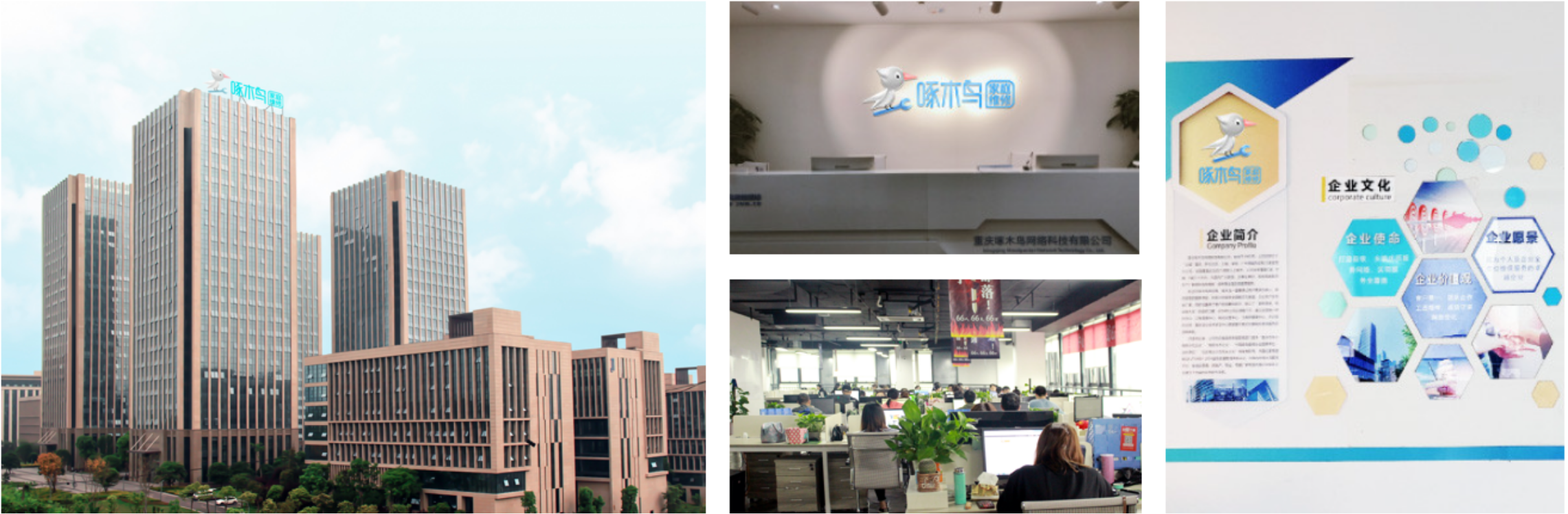 防水补漏公司